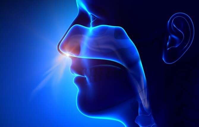 Nasal Obstruction