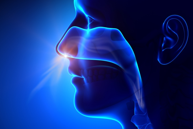 Nasal Obstruction